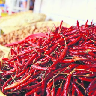 En seis meses, la denominación de origen al chile de Yahualica