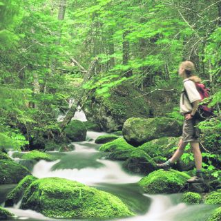 Quebec, el paraíso del verano