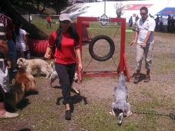 Esperan que a finales del verano estarán en condiciones de abrir un par de parques más.  /