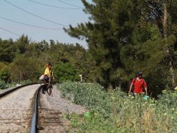 Buscarán acelerar las deportaciones. ARCHIVO /