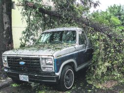 Meteoro. Uno de los vehículos dañados durante el presente temporal en la metrópoli.  /