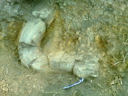 Con casi tres metros de largo, la pieza ósea fue llevada al cerro desde la zona lacustre. ESPECIAL /