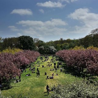 Diez viajes para amantes de las flores