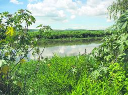 Sin cumplir. El Gobierno del Estado y las alcaldías no han avanzado en el grueso de los elementos incluidos en la macrorrecomendación.  /