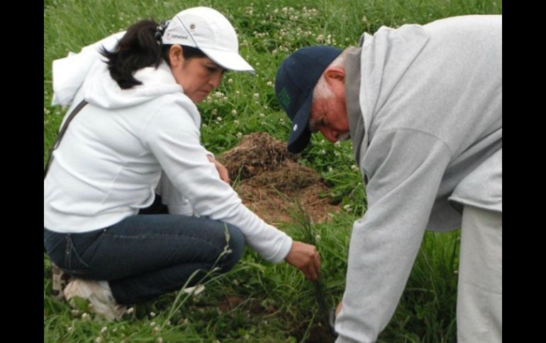 Delegados y vecinos participantes son informados de cómo deben sembrar cada sujeto forestal, dependiendo de la especie. ARCHIVO /