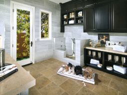 Las mascotas para las personas se han vuelto parte esencial de la familia. AP /