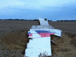 Restos del avión de Malaysia Airlines que transportaba 295 personas. AFP /