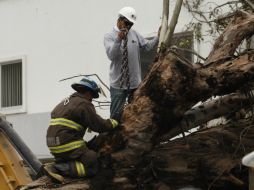 Reportan que fue la precipitación más fuerte en por lo menos 563 días.  /