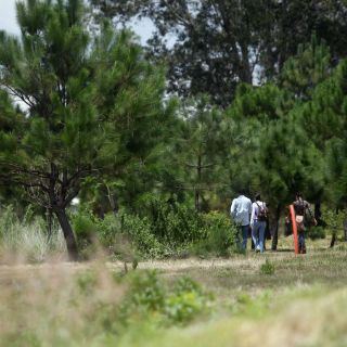 Declaran Colomos III Área Natural Protegida