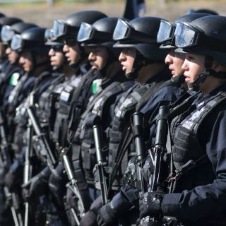 Policía Federal ve resultados en Tamaulipas