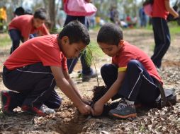 La reforestación fue coordinada por autoridades y fuerzas de seguridad de los tres niveles de gobierno. ARCHIVO /