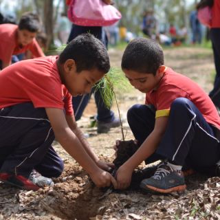 La Profepa reforesta 89 hectáreas en áreas naturales protegidas
