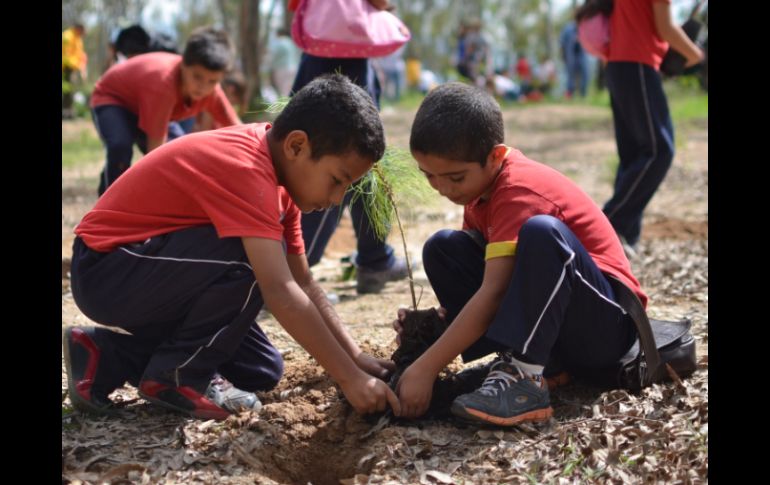 La reforestación fue coordinada por autoridades y fuerzas de seguridad de los tres niveles de gobierno. ARCHIVO /