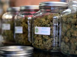 La comercialización se llevará a cabo entre los consumidores inscritos en los registros. ARCHIVO /