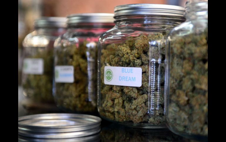 La comercialización se llevará a cabo entre los consumidores inscritos en los registros. ARCHIVO /