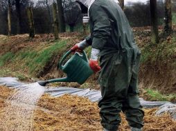 En la industria agroquímica, existen productos que tienen la capacidad de ocasionar severos daños. ARCHIVO /