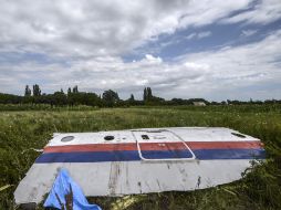Restos del avión de Malaysia Airlines derribado por un misil, que cayó en la provincia ucraniana de Donetsk el 17 de julio de 2014. AFP /