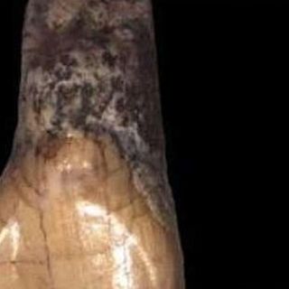 Descubren el resto humano más antiguo de Italia