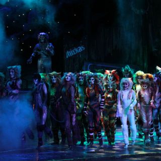 Buscan a Yuri, Lupita D'Alessio y Ana Gabriel para 'Cats'