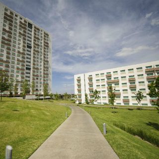 Diputados esperan revisión de cuenta pública 2011