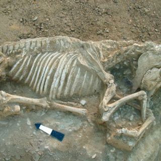 Hallan necrópolis en isla de Grecia