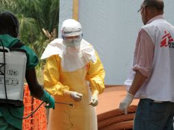 El virus originario de África, se ha difundido por varios países de América. ARCHIVO /