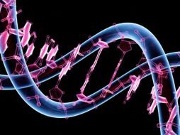 El análisis subraya que el SIDA aún es incurable debido a la integración permanente de VIH-1 en el genoma huésped. ARCHIVO /