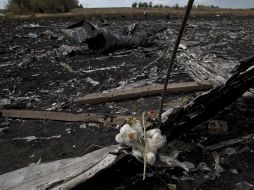 Un oso de peluche es colocado en el lugar donde yacen los restos del avión de Malaysian Airlines. AP /