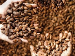 Estos alimentos provén hasta un 69 por ciento más de antioxidantes que los convencionales. ARCHIVO /