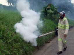 Autoridades sanitarias continúan con la inspección de criaderos de mosquitos en las viviendas. Tomada de minsa.gob.pa. ESPECIAL /