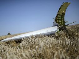 Los expertos fotografían el terreno y los restos del avión malasio, presuntamente derribado por un misil. AFP /