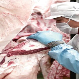 Continuará el alza en los precios de la carne