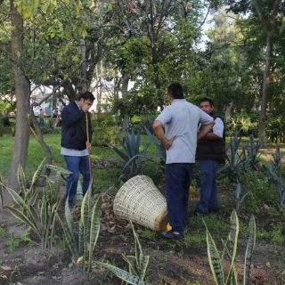 Reforestan Jardín Botánico en Guadalajara