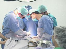 Ahora los hospitales deben recurrir a agujas más grandes que puedan traspasar la abundante piel.  /