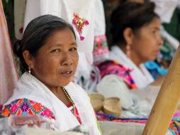 Autoridades deberán adoptar la colaboración o apoyo de otras instancias para garantizar la efectividad de esos derechos. ARCHIVO /