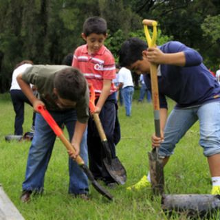 Municipios metropolitanos plantarán 100 mil árboles