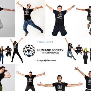 Actores y cantantes se suman a la campaña 'Déjalas mover'