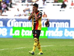 Los Leones están en el último lugar de la tabla general.  /