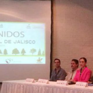 Subexplotado, sector forestal de Jalisco: Semadet