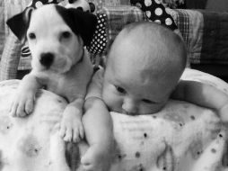 La madre de la niña capta todos los momentos de su hija con el cachorro. ESPECIAL /