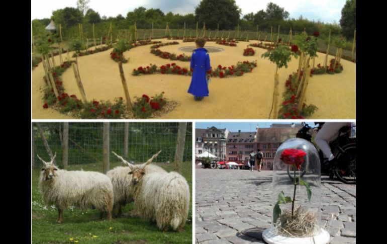 Seres de ficción en el texto pueden representar roles sociales. ESPECIAL /