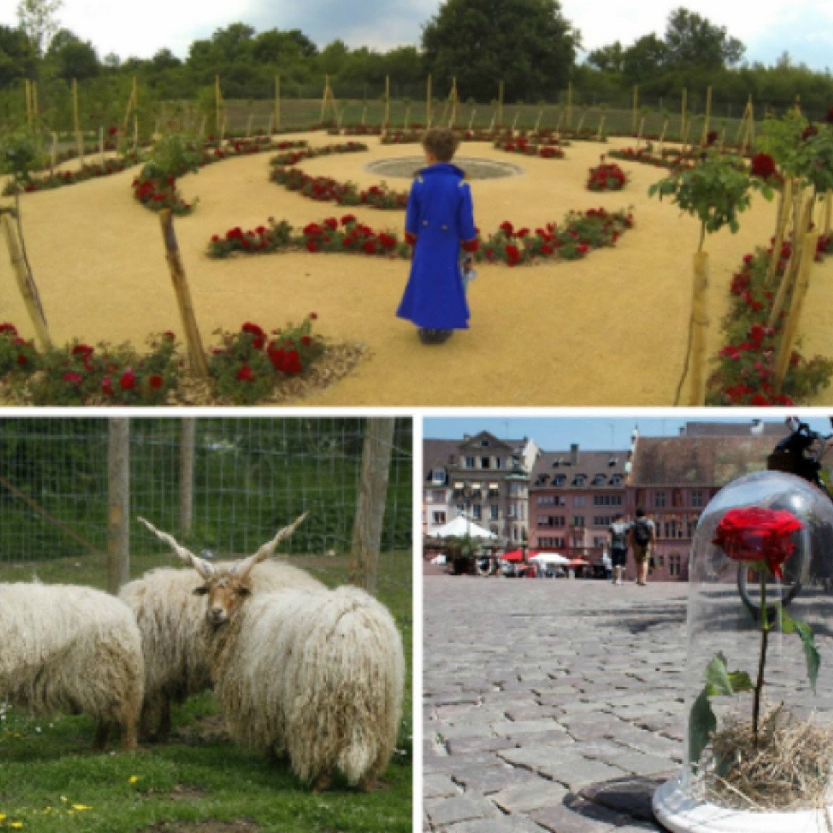 Los Personajes De El Principito Una Galeria De Representaciones