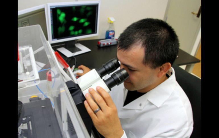 Según datos del IMPI, de 2000 a mayo de 2014, los inventores jaliscienses han perdido la protección de patentes 884 veces.  /