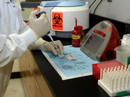 La tecnología utilizada para desarrollar la vacuna ha tenido el visto bueno de la Administración de Drogas y Alimentos estadounidense. ARCHIVO /