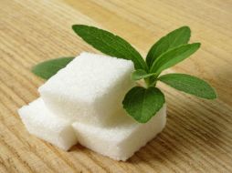 La stevia es un arbusto de la familia de los girasoles cuyo cultivo también es benéfico para el ambiente. ESPECIAL /