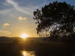 Zacatlán de las Mazanas, Puebla, un lugar para descansar y pasar un buen rato o dar una caminata por su bosque. ESPECIAL /