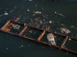Desechos y sorpresas muy poco agradables como estas son lo que han encontrado los deportistas. AFP /