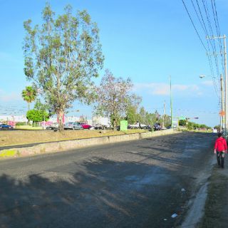 Dictamen ambiental para Línea 3 es positivo: Colectivo Ecologista