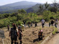Se llevó a cabo una jornada de reforestación en la Barranca de Oblatos en colaboración con el Ayuntamiento de Guadalajara.  /