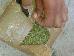En una finca en Amatitán fueron localizados 210 kilogramos de mariguana. ARCHIVO /